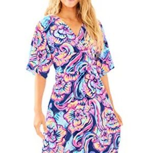 Lilly Pulitzer Parigi Dress NWT Medium